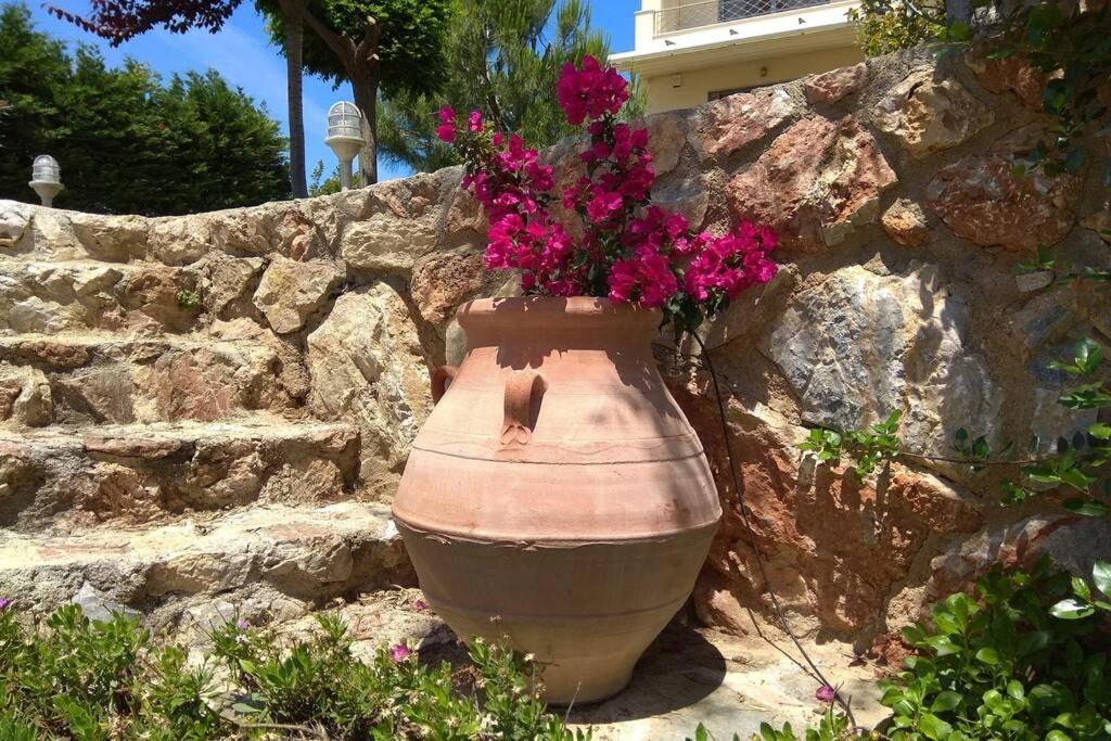 Seaside Villa Andronikos Amarynthos Exterior photo